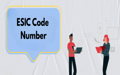 What is the ESIC Code Number?