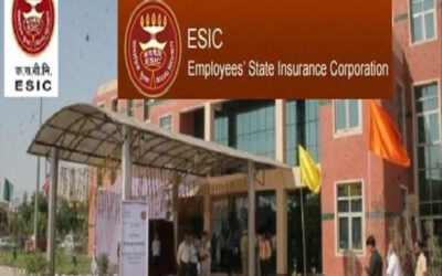 Can a firm have more than one ESIC code?