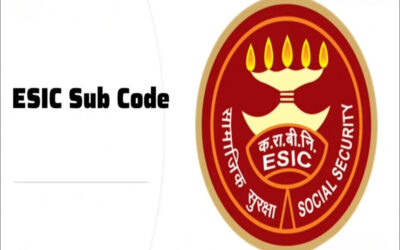 What is a sub-code under ESIC?