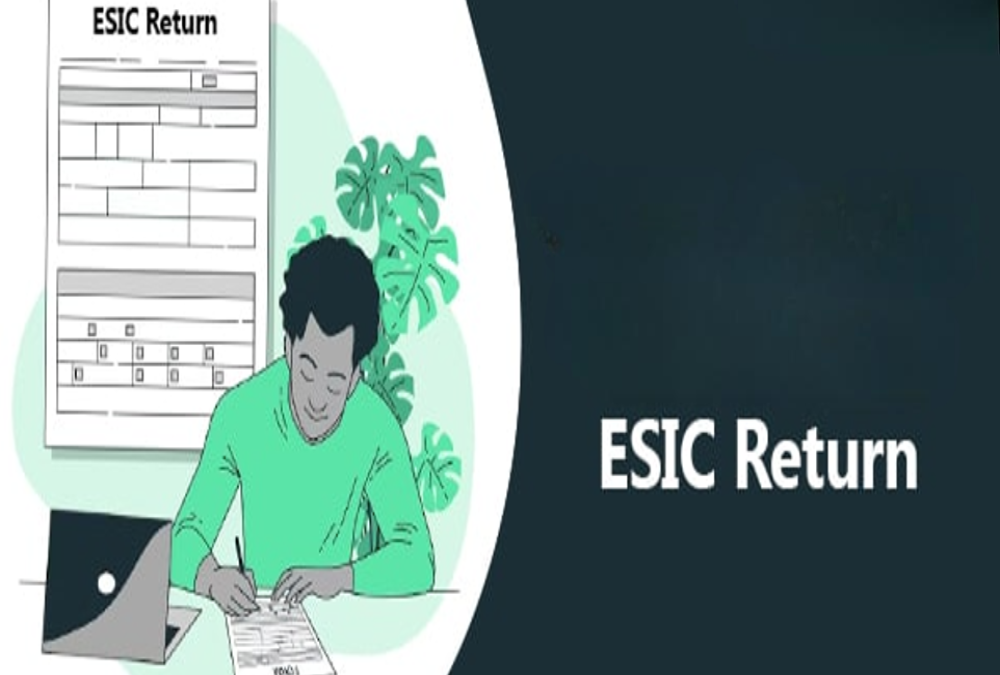 How to file monthly ESIC returns?