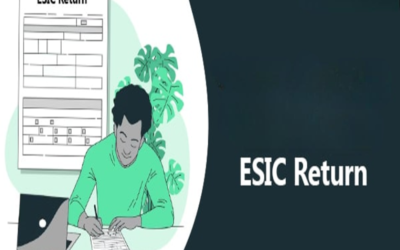 How to file monthly ESIC returns?