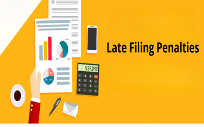What is the penalty for late filing?