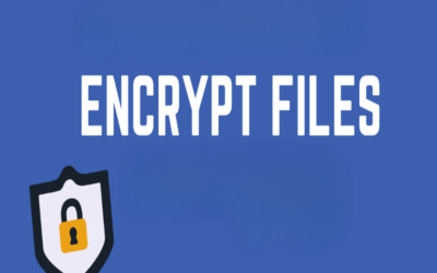Can DSC be used to encrypt files?