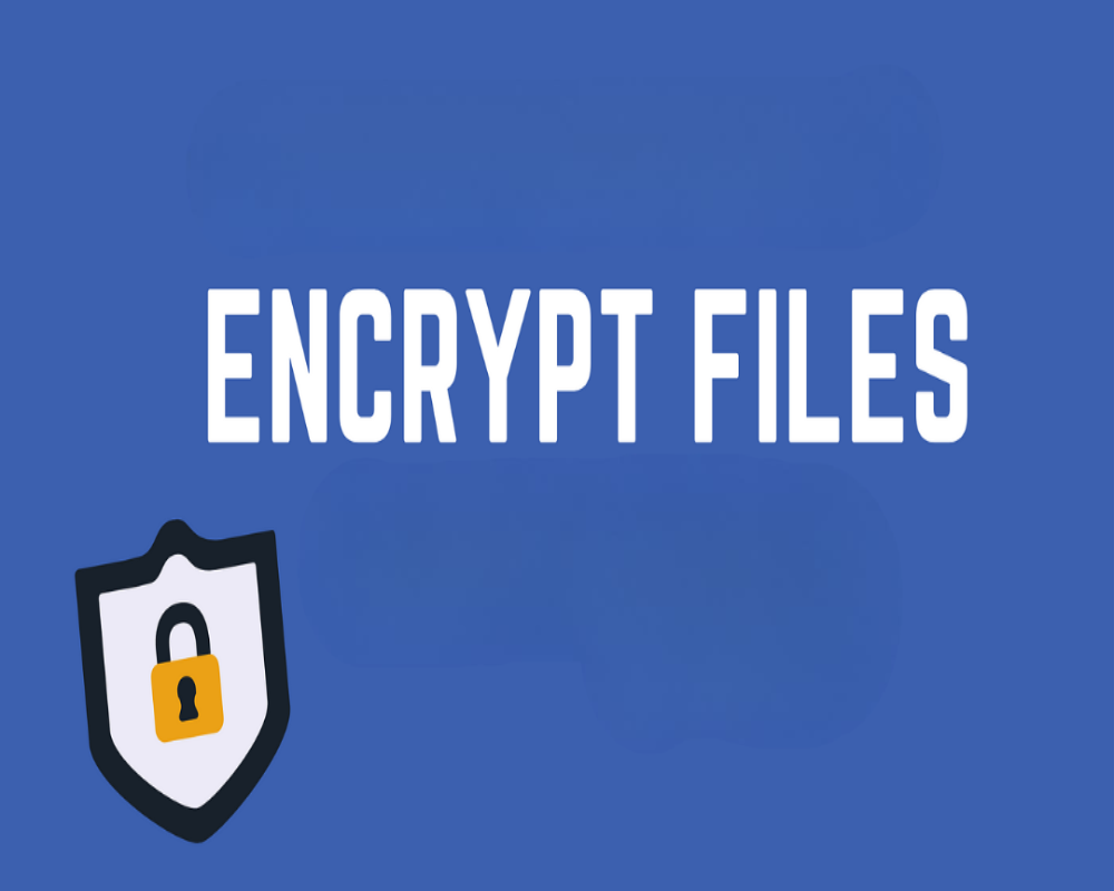 Can DSC be used to encrypt files? Hello Auditor