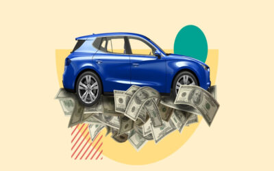 What is the impact of vehicle cost on road tax?