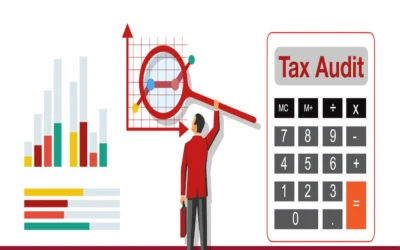 How is road tax audited or verified?