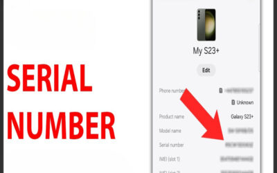 What is the format of a DSC serial number?