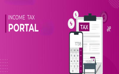 How can DSC be updated in the Income Tax portal?