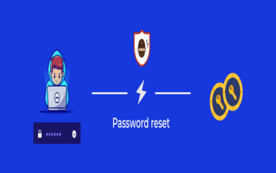 What is a password reset process for DSC token?