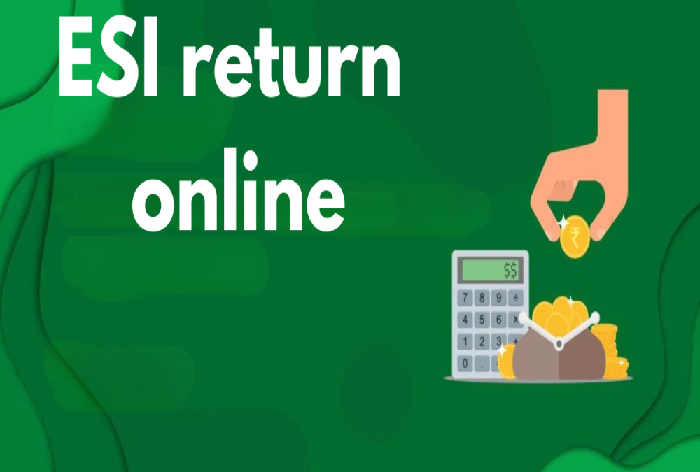 How to file ESI return online?