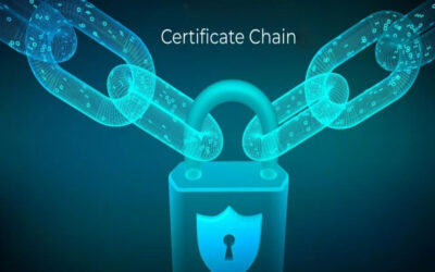 What is a DSC certificate chain?