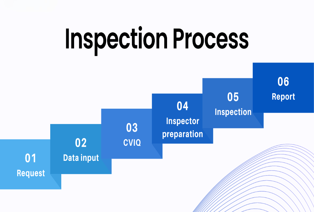  What is the ESIC inspection process?