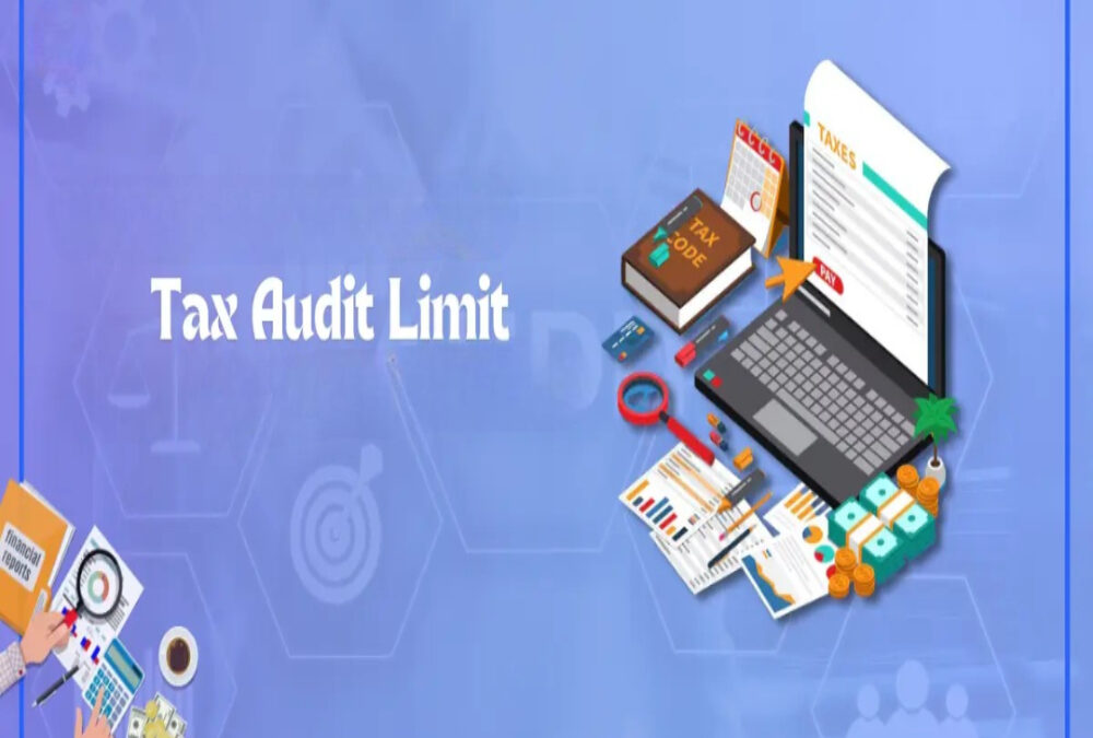 What is the audit limit for VAT in various states?