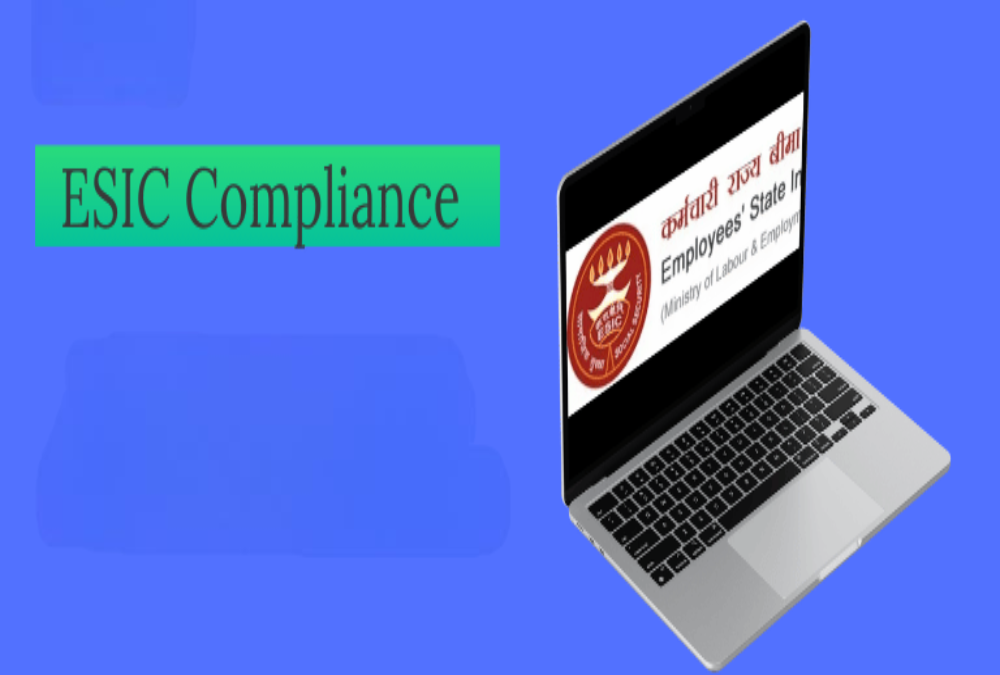 What is the role of a consultant in ESIC compliance?