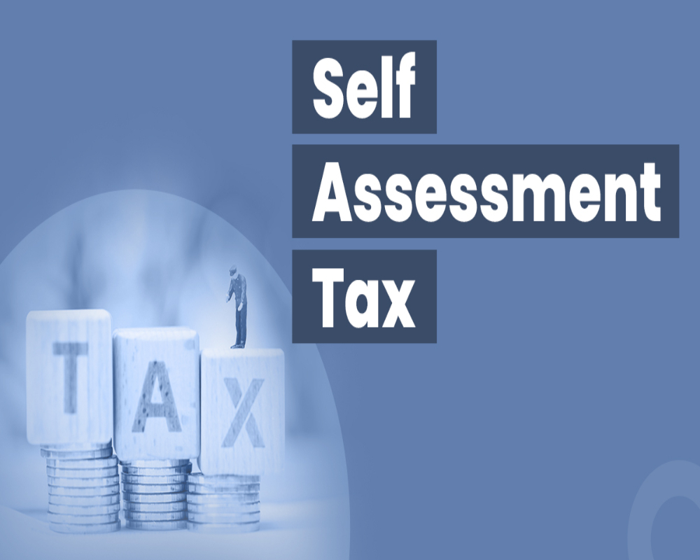 How to pay self-assessment tax online? Hello Auditor