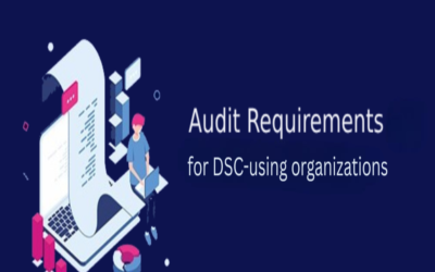 What are audit requirements for DSC-using organizations?