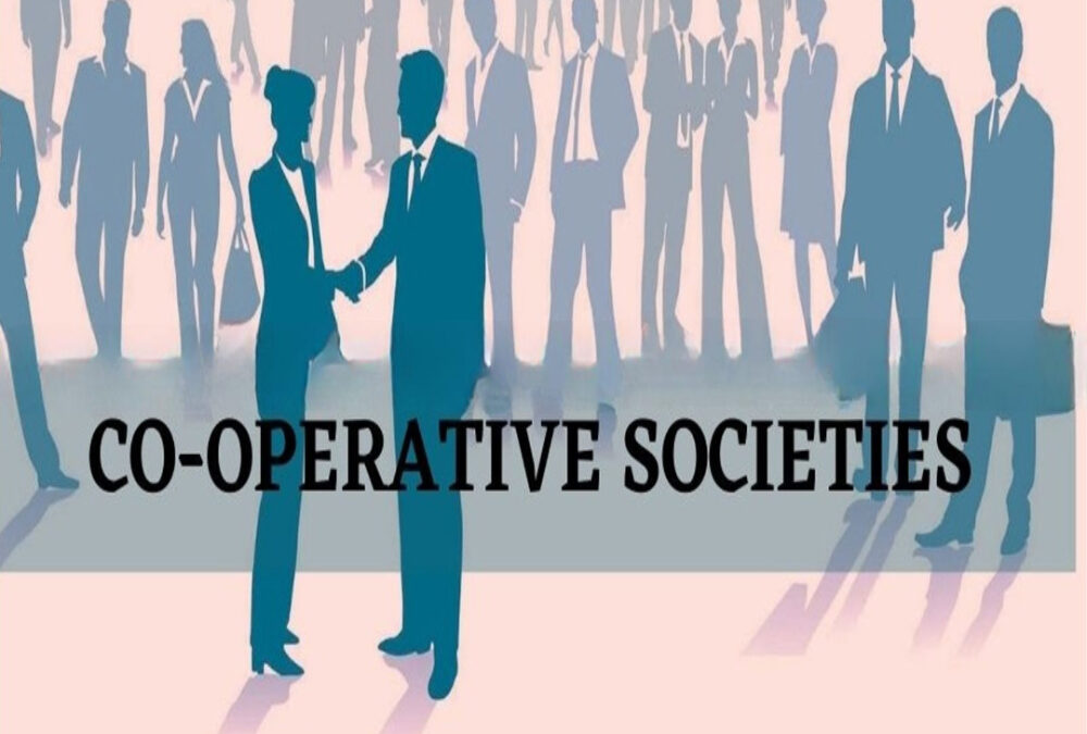 How are co-operative societies treated under VAT?