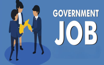 Can DSCs be used for government job applications?