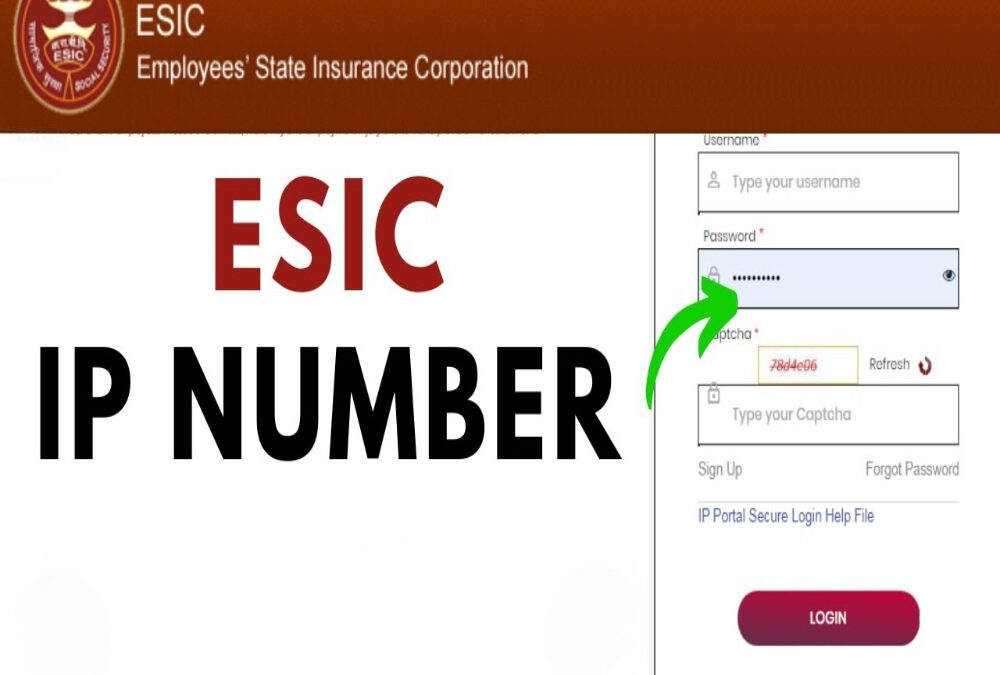 What is IP number in ESIC?