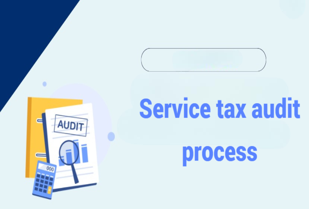 Was there a service tax audit process?