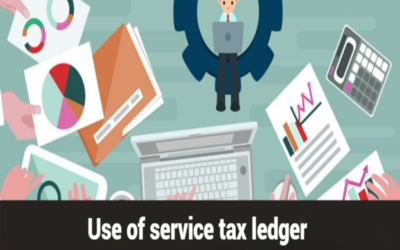 What was the use of service tax ledger?
