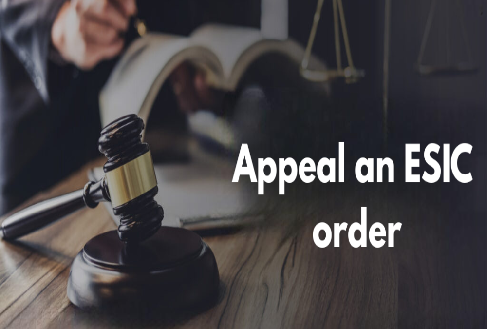  How to appeal an ESIC order?