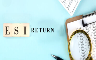 What is the ESI Return Register?